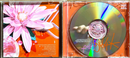 Björk CD Post - US