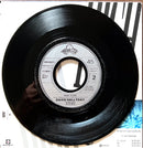David Hallyday 7" High