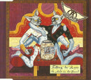 Aerosmith ‎Maxi CD Falling In Love (Is Hard On The Knees) - Europe (M/EX+)