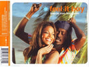 Beenie Man Feat. Janet Maxi CD Feel It Boy - Australia (M/M)
