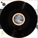 Kemal / Kemal + Rob Data 12" Plan B / Linear