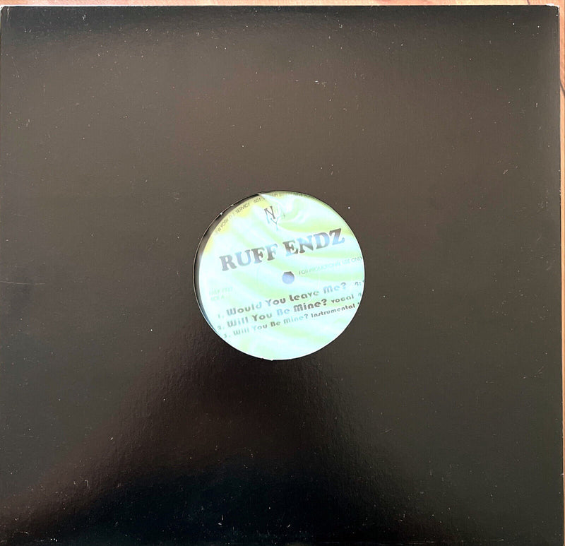 Ruff Endz / Ginuwine – Would You Leave Me? / Stingy - Promo