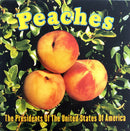 The Presidents Of The United States Of America ‎CD Single Peaches - Promo - Euro