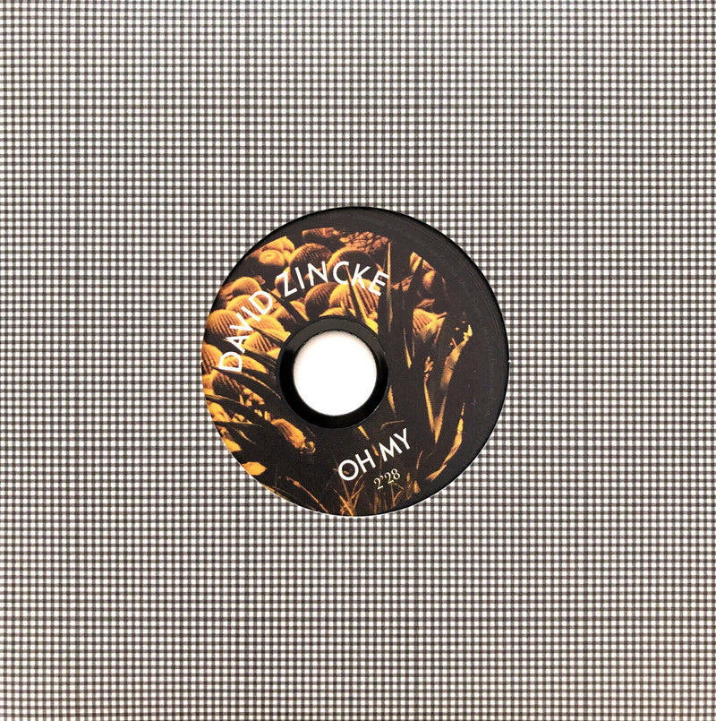 David Zincke ‎CD Single The EP - Promo - France (EX+/EX+)