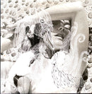 Björk ‎CD Single Un Titre De L'Album Vespertine (Harm Of Will) - Promo