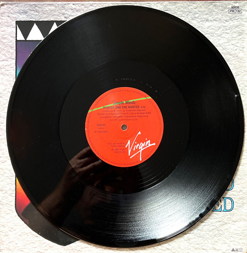 Simple Minds 12" Waterfront