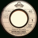 David Hallyday ‎7" Tears Of The Earth - France (VG+/EX)