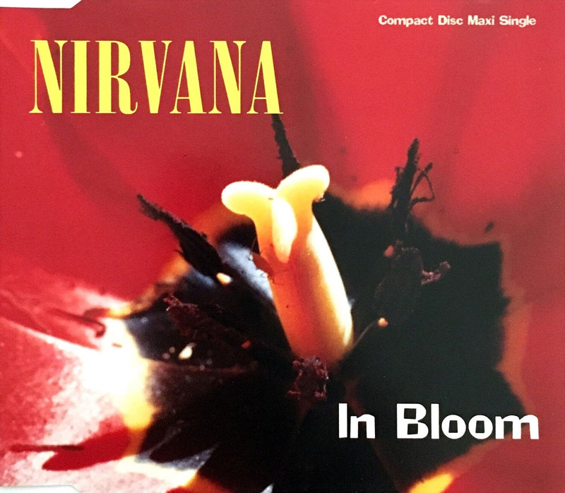 Nirvana ‎Maxi CD In Bloom - Europe (EX+/EX+)