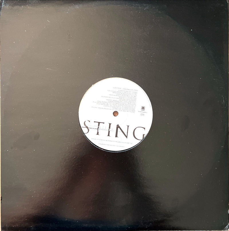 Sting 12" Let Your Soul Be Your Pilot - Promo