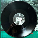 Carla Alexandar 12" Volume