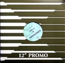 Ruff Endz / Ginuwine LP Would You Leave Me? / Stingy - Promo