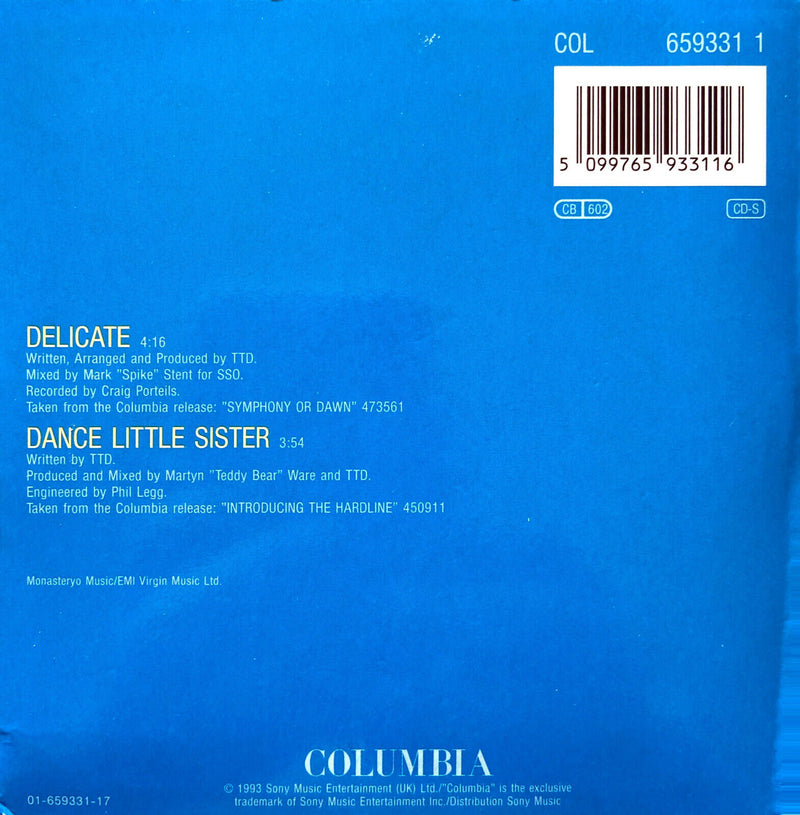 Terence Trent D'Arby Featuring Des'ree CD Single Delicate - Europe (VG+/EX+)