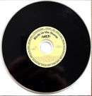 AaRON CD Birds In The Storm