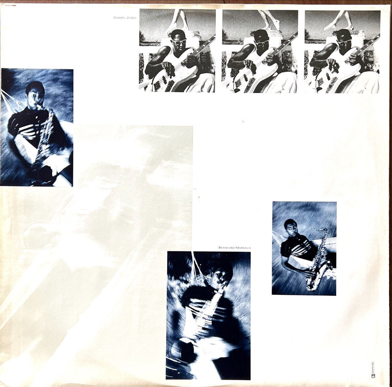 Sting LP The Dream Of The Blue Turtles