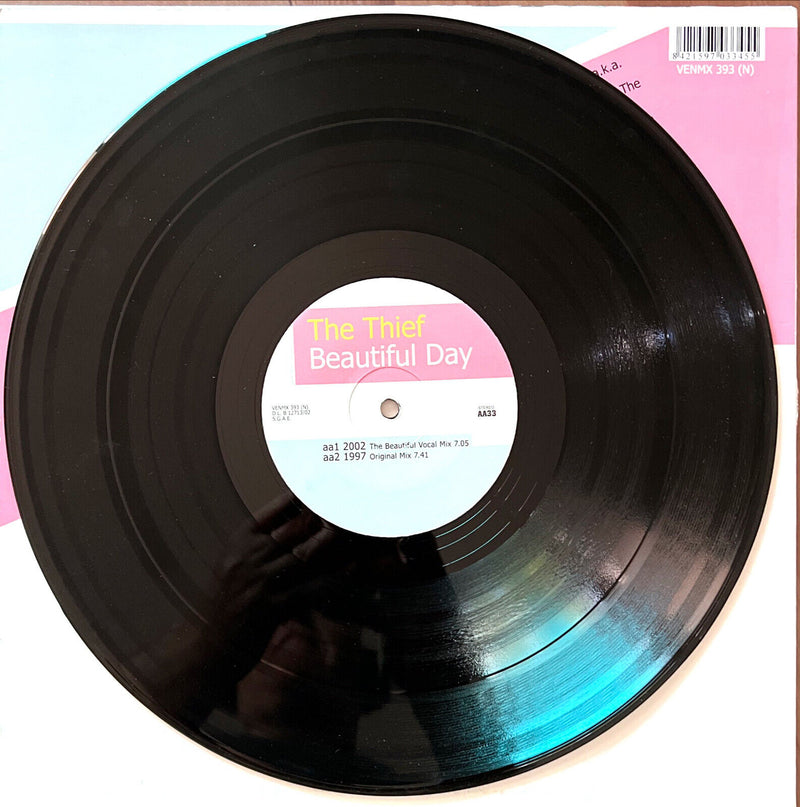 The Thief 12" Beautiful Day