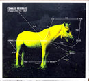 Edward Perraud CD Synaesthetic Trip