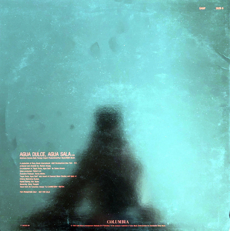 Julio Iglesias ‎12" Agua Dulce, Agua Sala - Promo - Holland (VG+/EX+)
