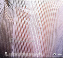 Dominique Dalcan CD Single L'Air De Rien - Promo