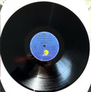 Dino 12" 24/7 - Germany
