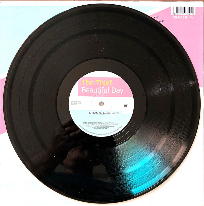The Thief 12" Beautiful Day
