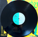 Dr. Foster 12" E-Wallah - Germany