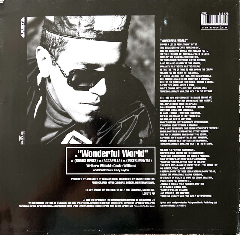 Wildski 12" Wonderful World