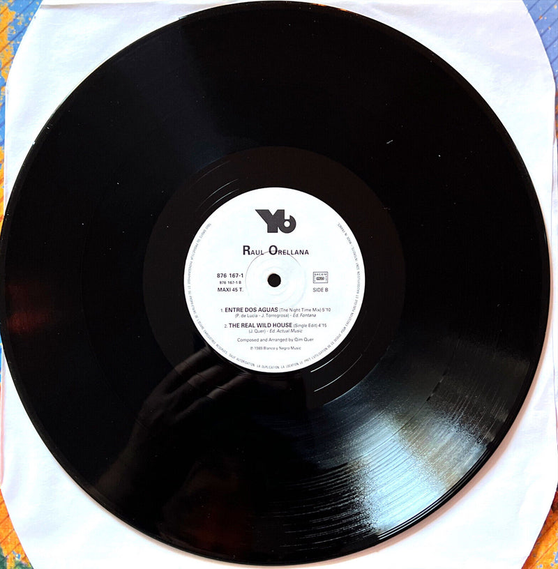 Raul Orellana 12" The Real Wild House (The Wild Mix) - France