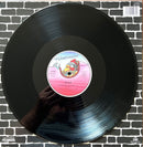 B.L.S.R. 12" Stranger In The House