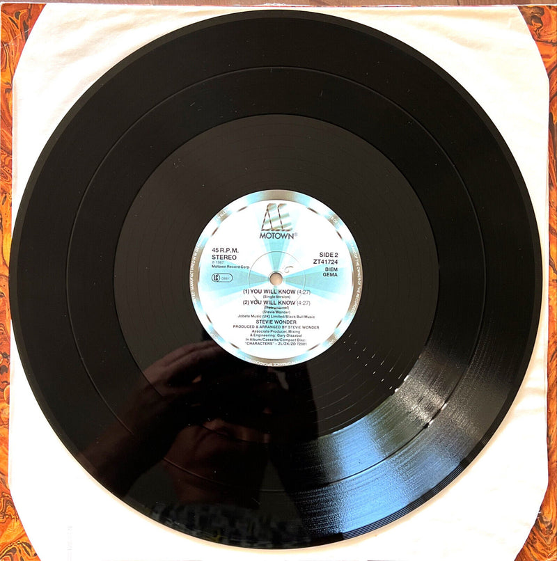 Stevie Wonder 12" You Will Know