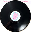 Mr. C Feat. Victoria Wilson James 12" Circles Of Love