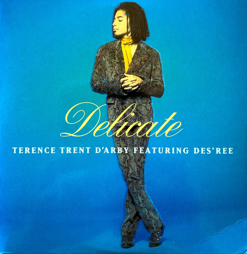 Terence Trent D'Arby Featuring Des'ree CD Single Delicate - Europe (VG+/EX+)