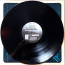 Christoph Menzi Presents Wavescope 12" The Spirit