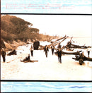 Thirty Eight Special CD Rock & Roll Strategy