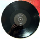 Garbage 12" Androgyny Remixes