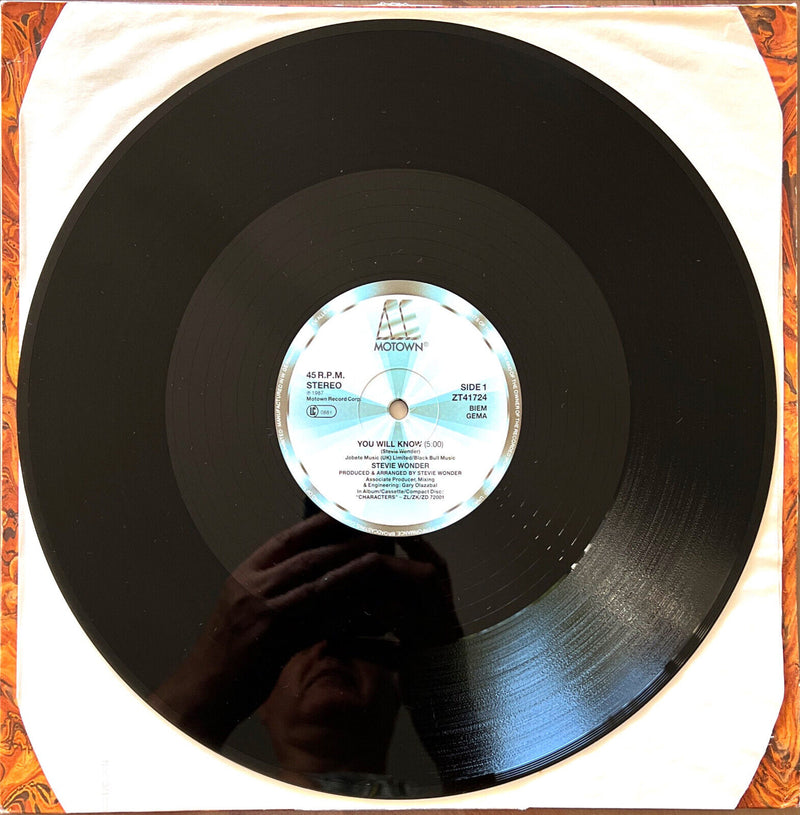 Stevie Wonder 12" You Will Know