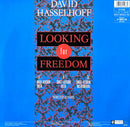 David Hasselhoff 12" Looking For Freedom - Germany