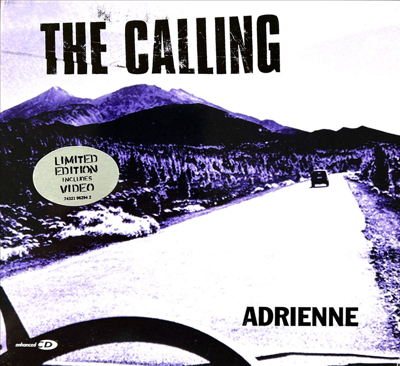 the cover of the book the calling