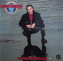 Larry Carlton - CD Audio - On Solid Ground (NM/M)
