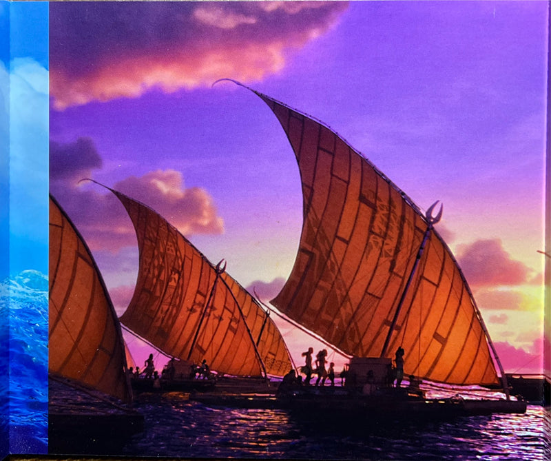 Vaiana - CD - Bande Originale Française Du Film (NM/NM)