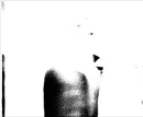 Sting - CD - ...All This Time (NM/NM)