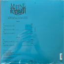 Mylène Farmer – Désenchantée (Maxi 12") Vinyle 2024 (M/M - Scellé)