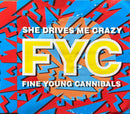 Fine Young Cannibals - Maxi CD - She Drives Me Crazy (NM/VG)