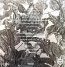 Jean-Louis Murat CD Cheyenne Autumn (NM/M)