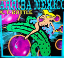 K.T. Bottle - Maxi CD - Arriba Mexico (NM/NM)