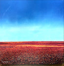 a large field with a blue sky in the background