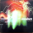 a picture of a picture of a cat on a wall