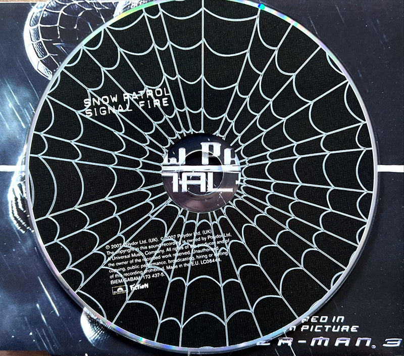 a black and white picture of a spider web