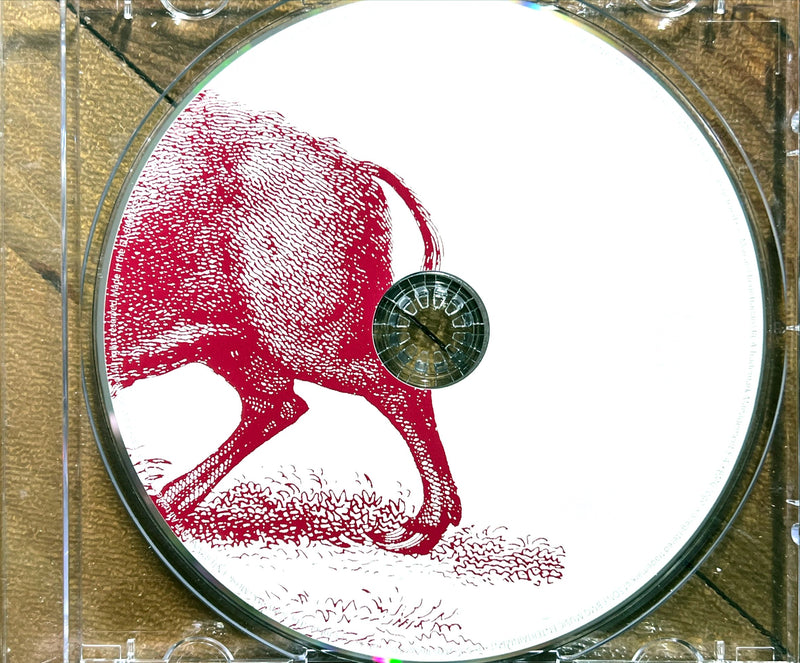 a drawing of a kangaroo with a compass in its mouth