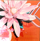 Björk CD Post - Europe (NM/NM)